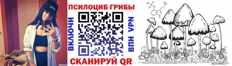 shop какой сайт  Электроугли  Псилоцибиновые грибы Psilocybe 